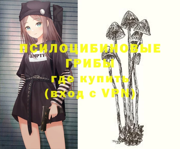 ГАЛЛЮЦИНОГЕННЫЕ ГРИБЫ Баксан